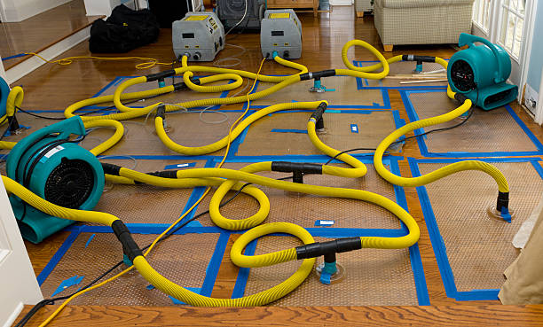 Professional Flood Damage Restoration technician working in Churchton, MD